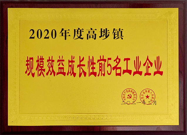 2020年度高埗镇 规模效益成长性前5名工业企业